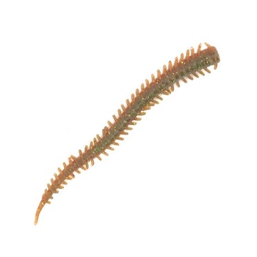 ガルプ！ソルトウォーターイソメ　極太　4インチ(青イソメ（Ｃ）)